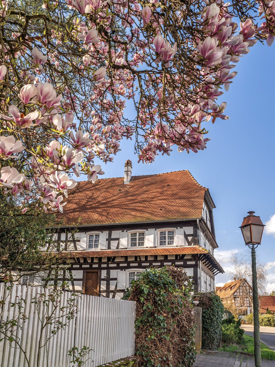 Cédrιc tweet media