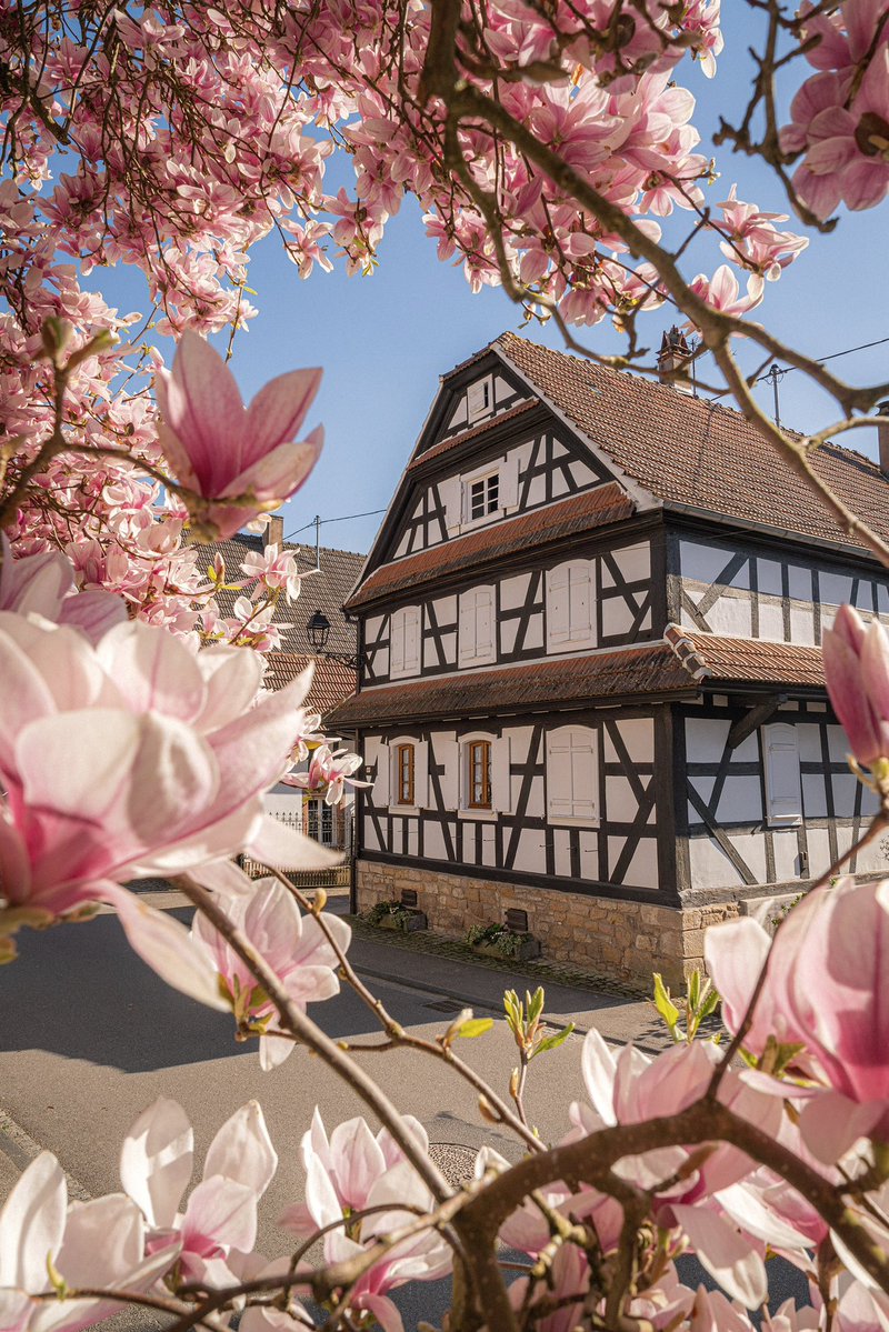 Cédrιc tweet media