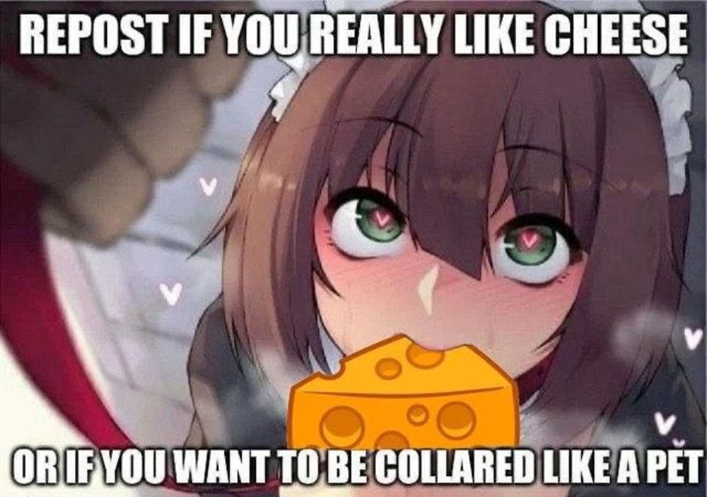 Gay Frog 🏳️‍⚧️ tweet media