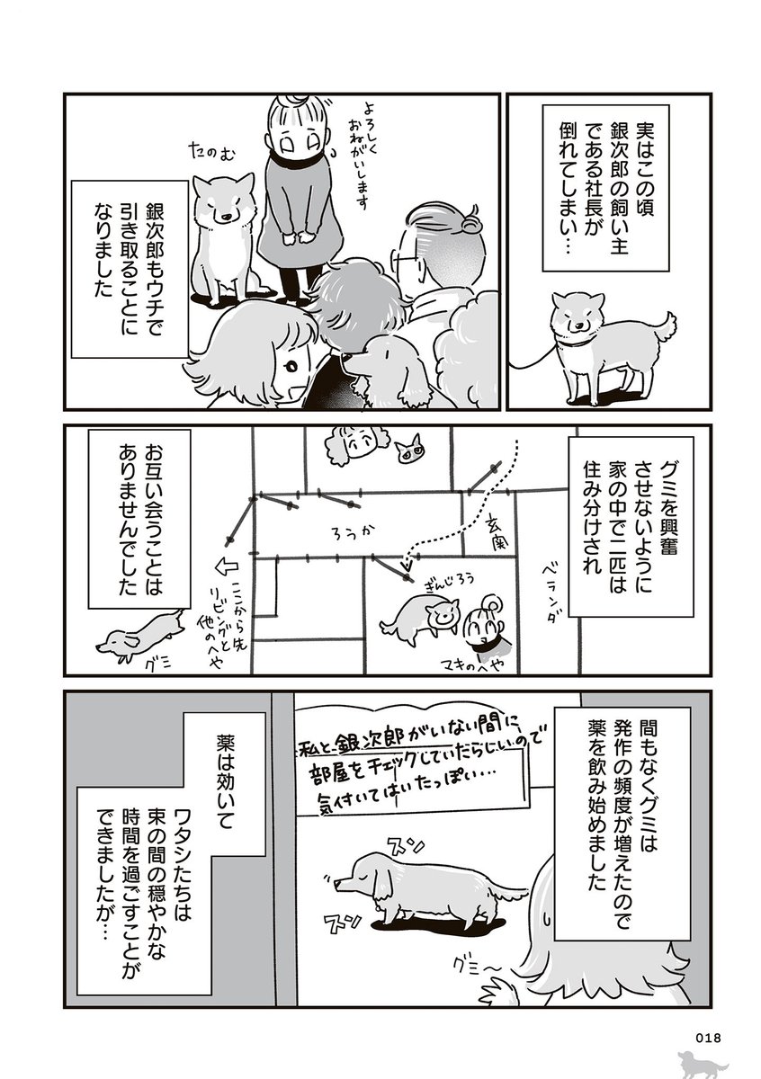 真希ナルセ(マキ) tweet media