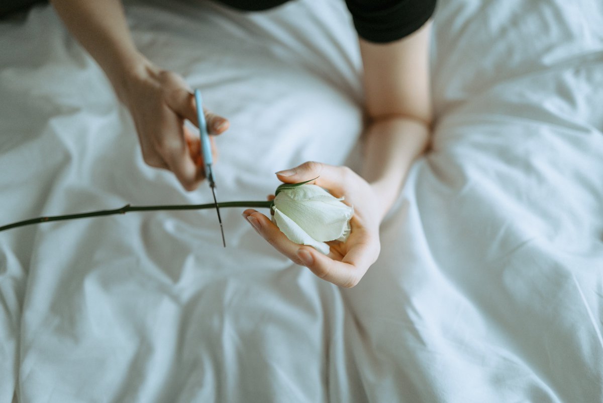 宮前 真也/shinya miyamae tweet media