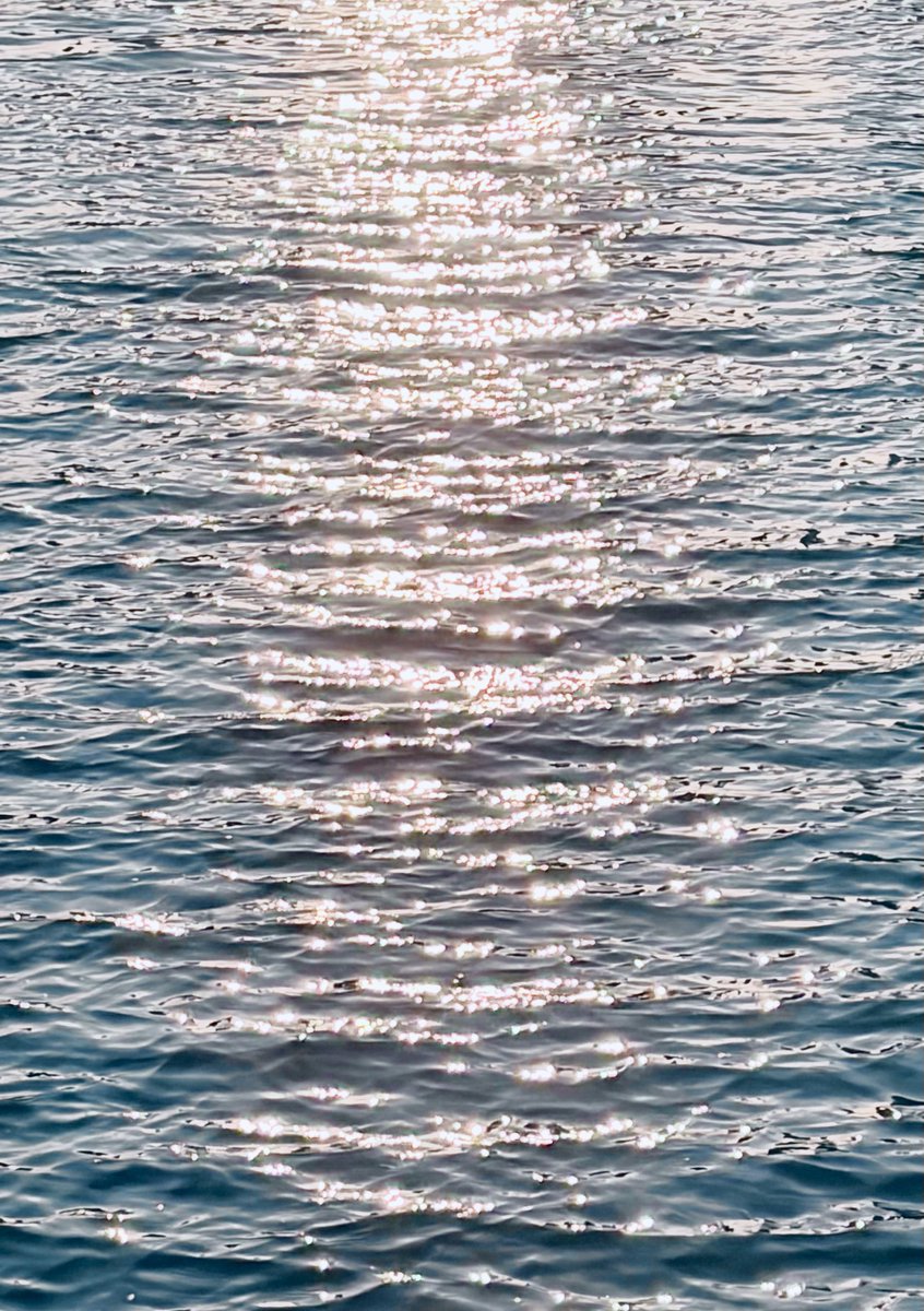 Tcho / 티코🐲 Commission Open tweet media