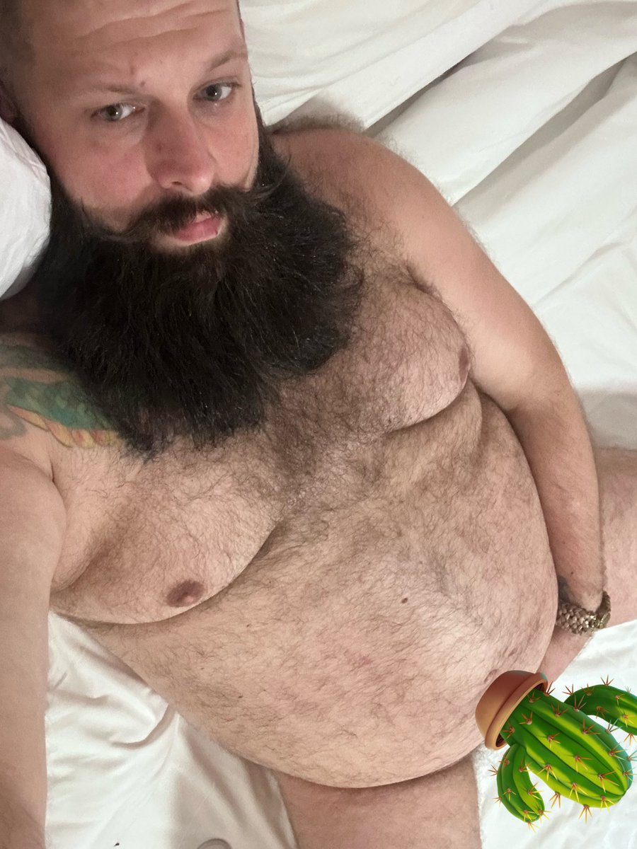bearcules 🔜 GBBB manchester tweet media