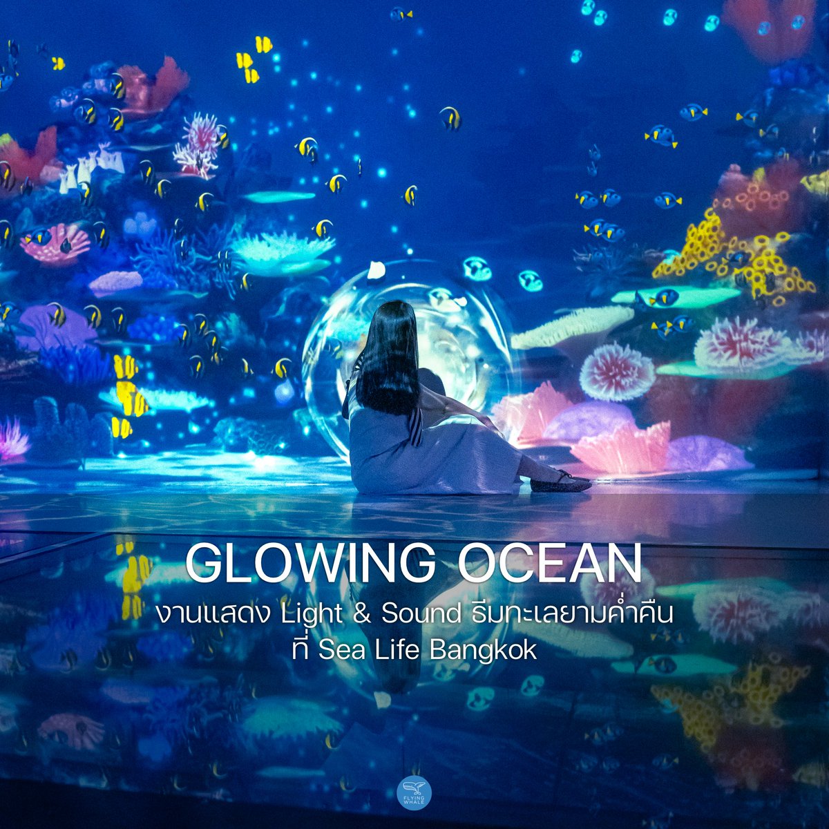 วาฬมีปีก | Flyingwhale tweet media