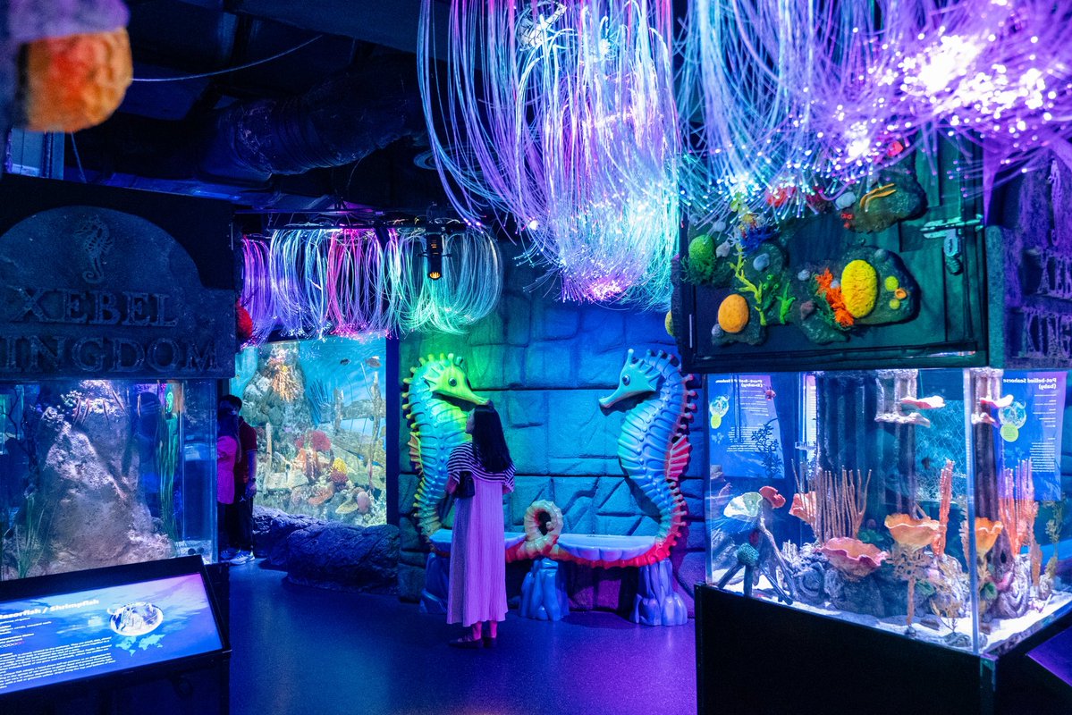 วาฬมีปีก | Flyingwhale tweet media