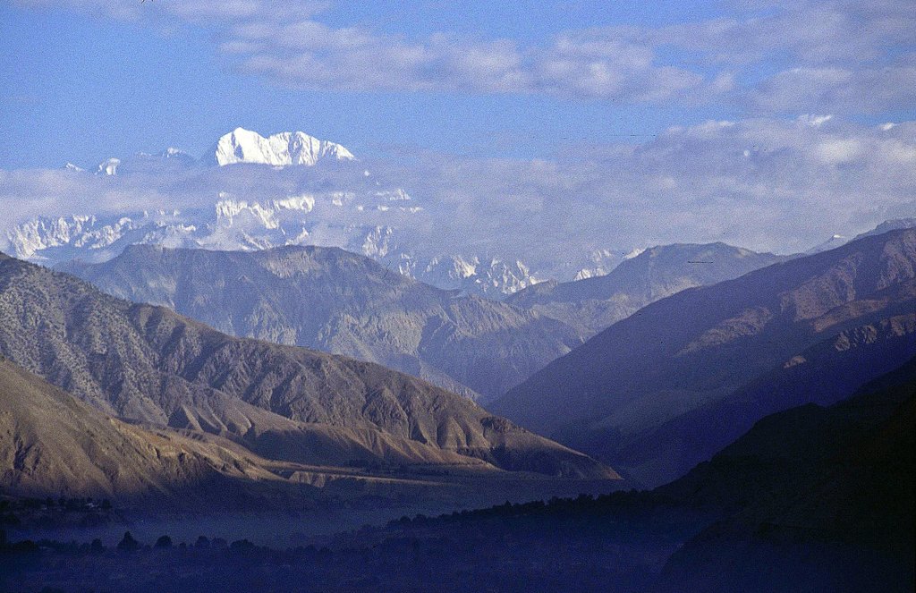 Mahesh 🇮🇳 tweet media