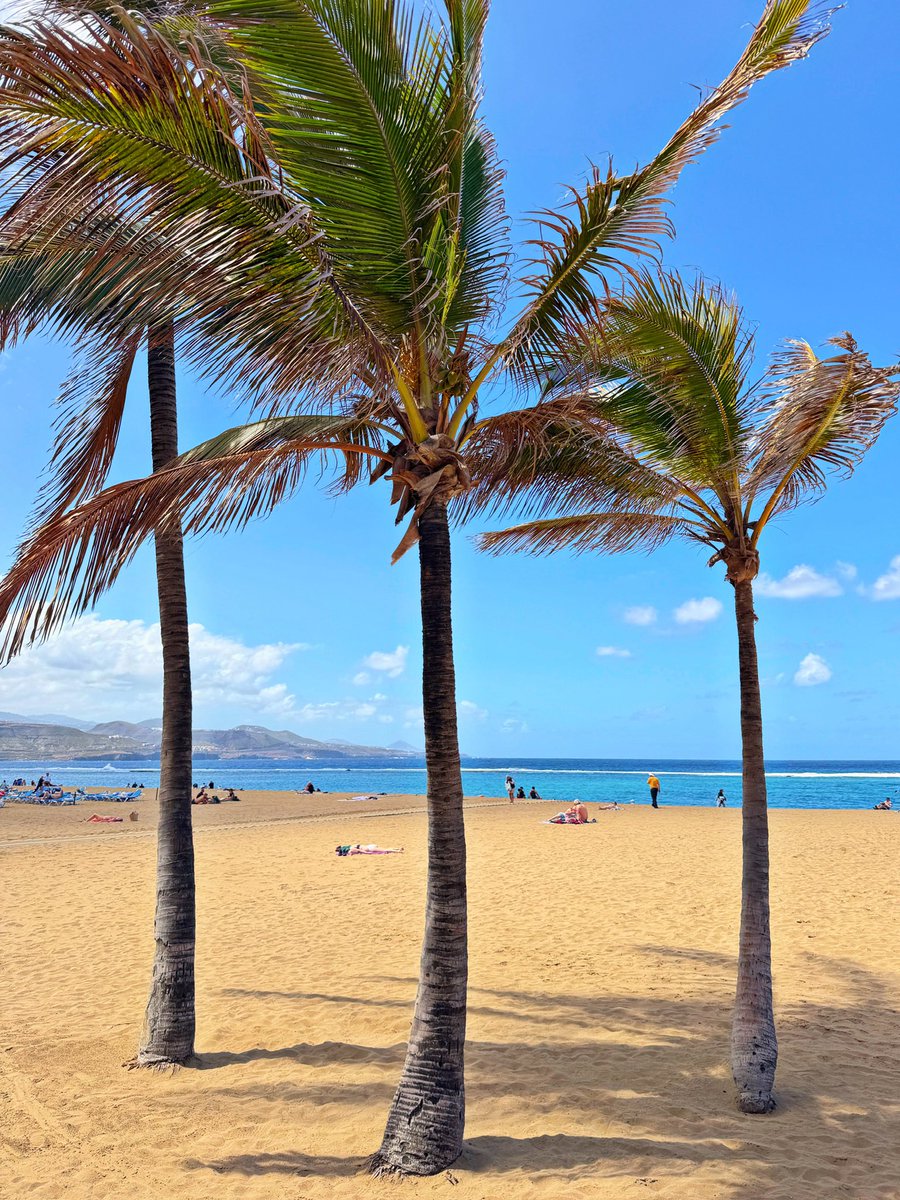 mycanaryislands's tweet image. Do you feel ‘much weather change in the Canary Islands since last summer?

#weather #change #cold #canarias #islacanarias #canaryislands #grancanaria #lanzarote #fuerteventura #tenerife #ELHierro #LaGomera #lapalma #spain #mycanaryislands #fblifestylechallenge