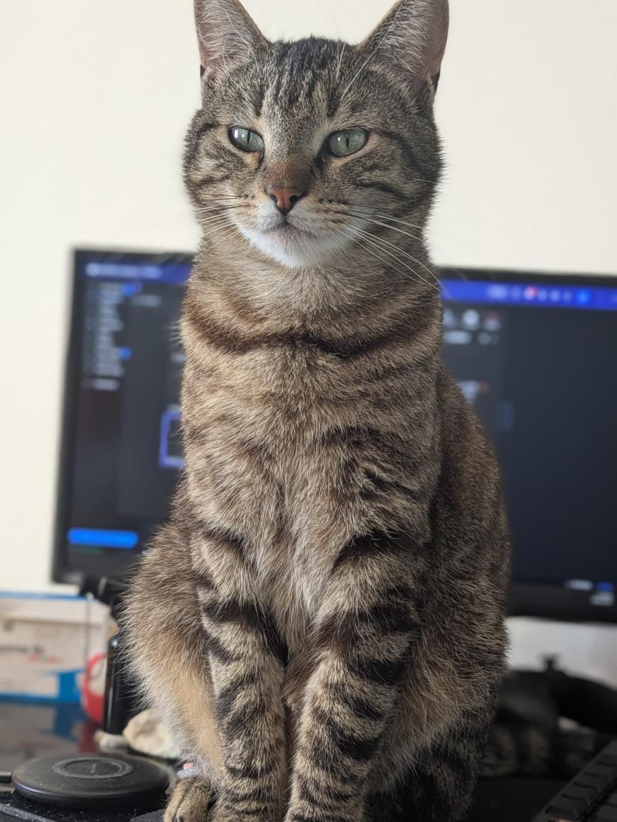 Bertrand tweet media