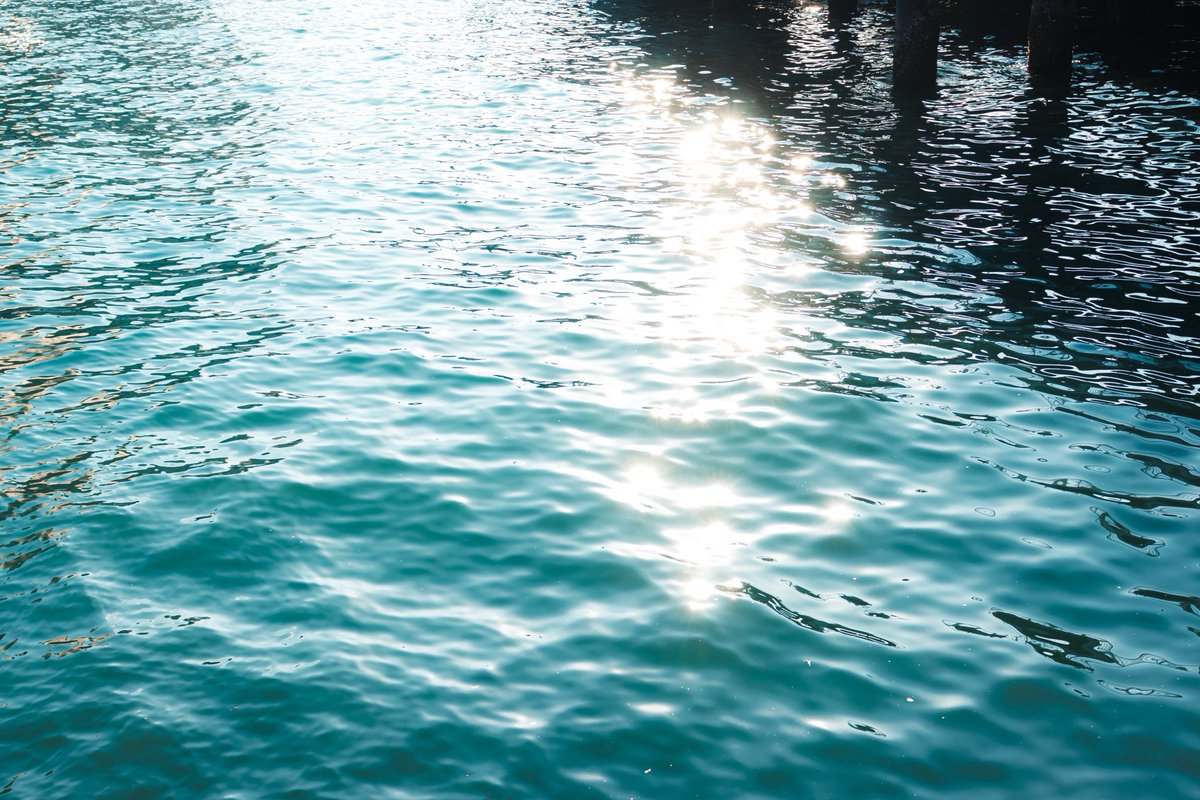 ぽてちー tweet media