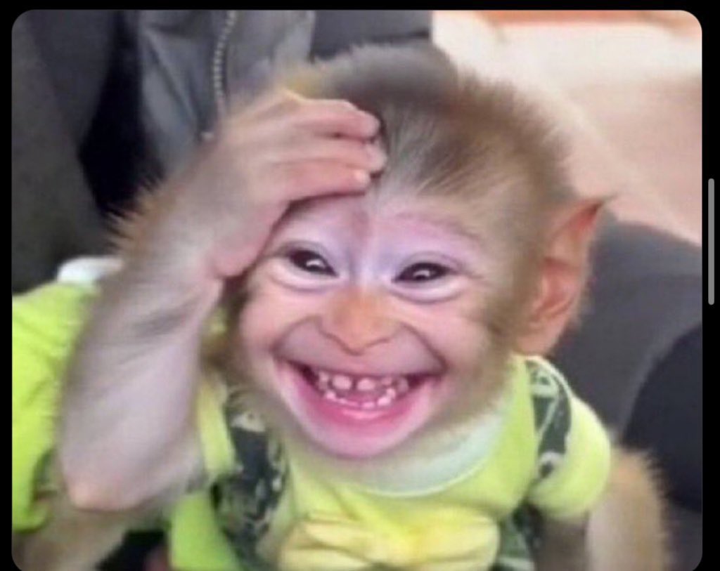 Mickey yo tweet media