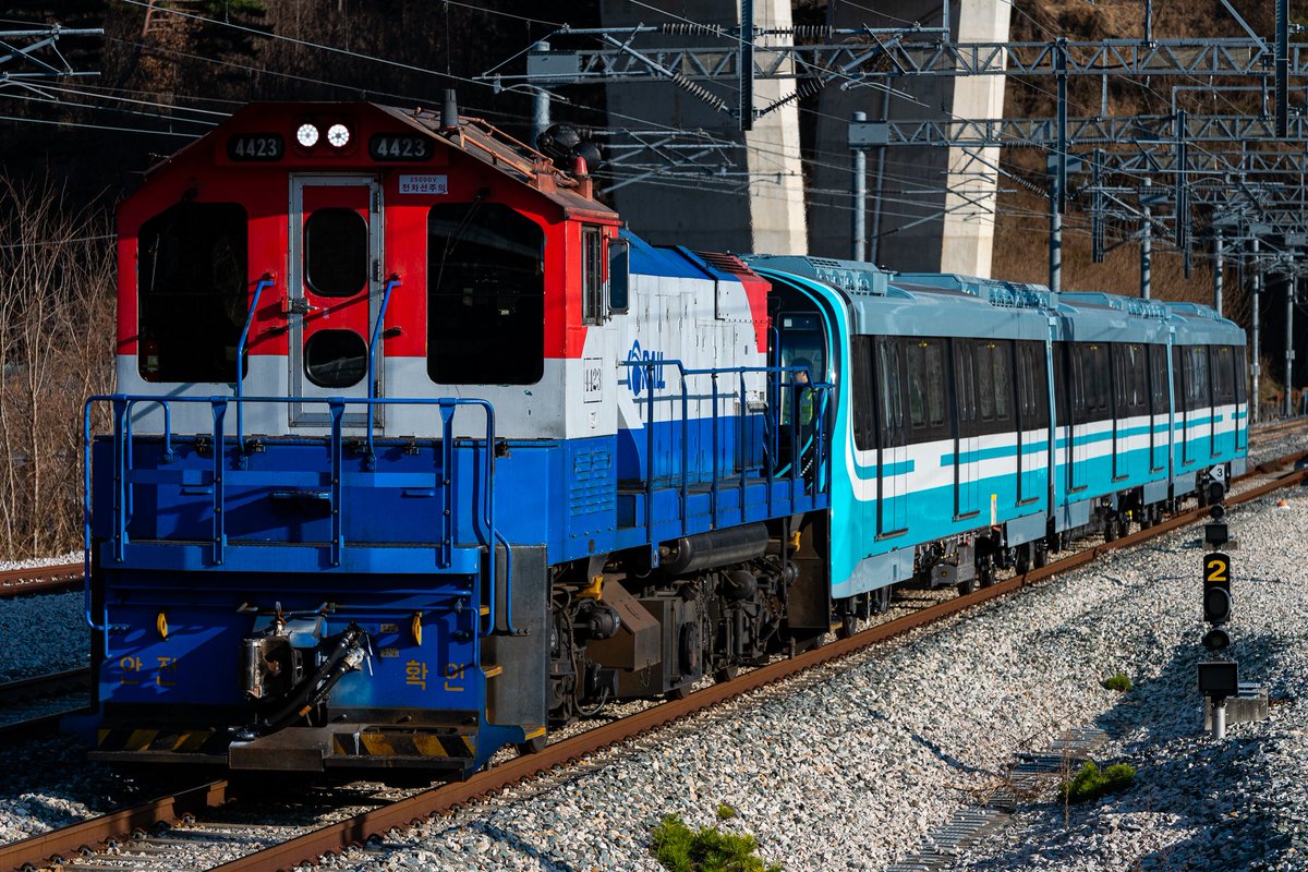 Jooo_000_ooo_ tweet media