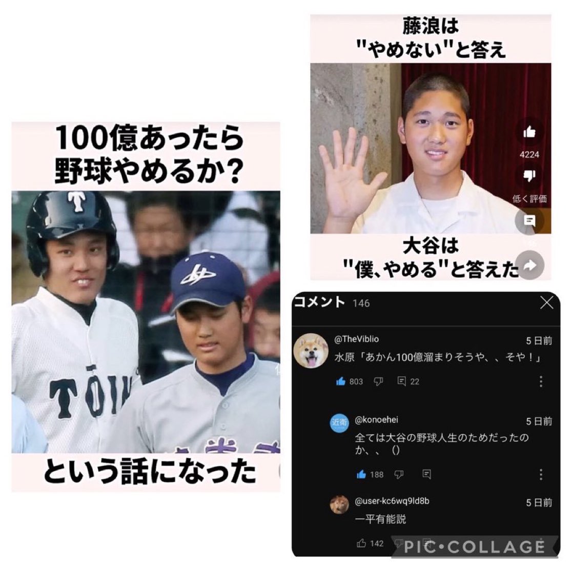 ずっと見ていたい動画 tweet media