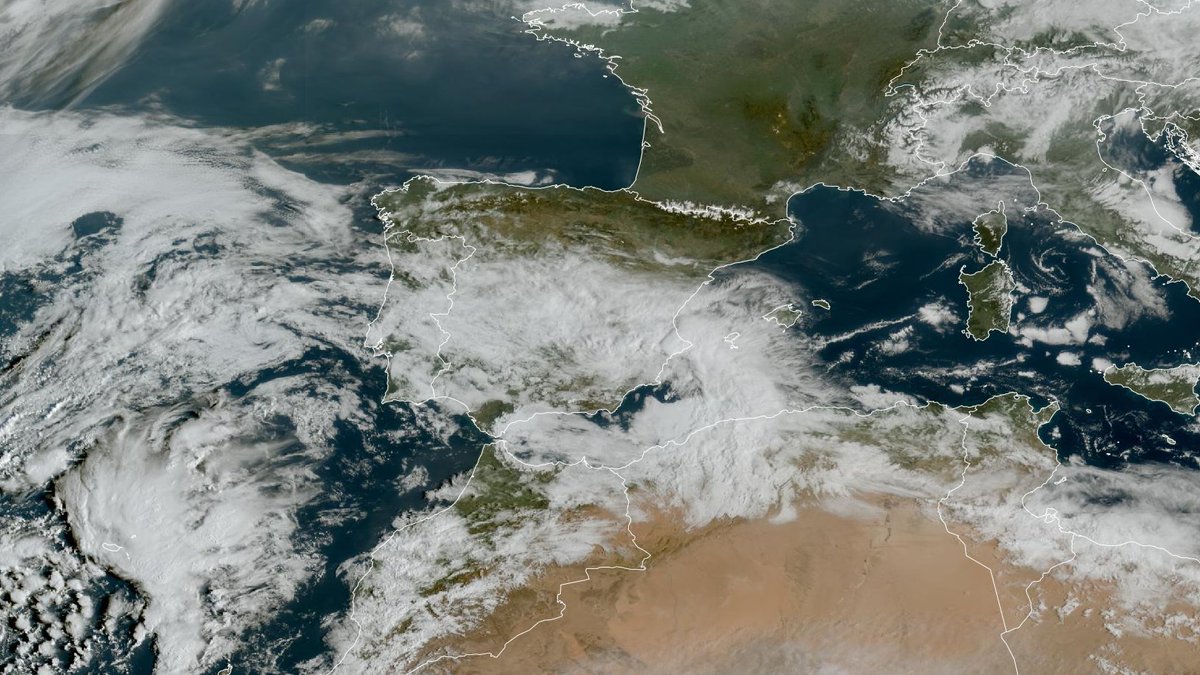 El temps IB3 tweet media