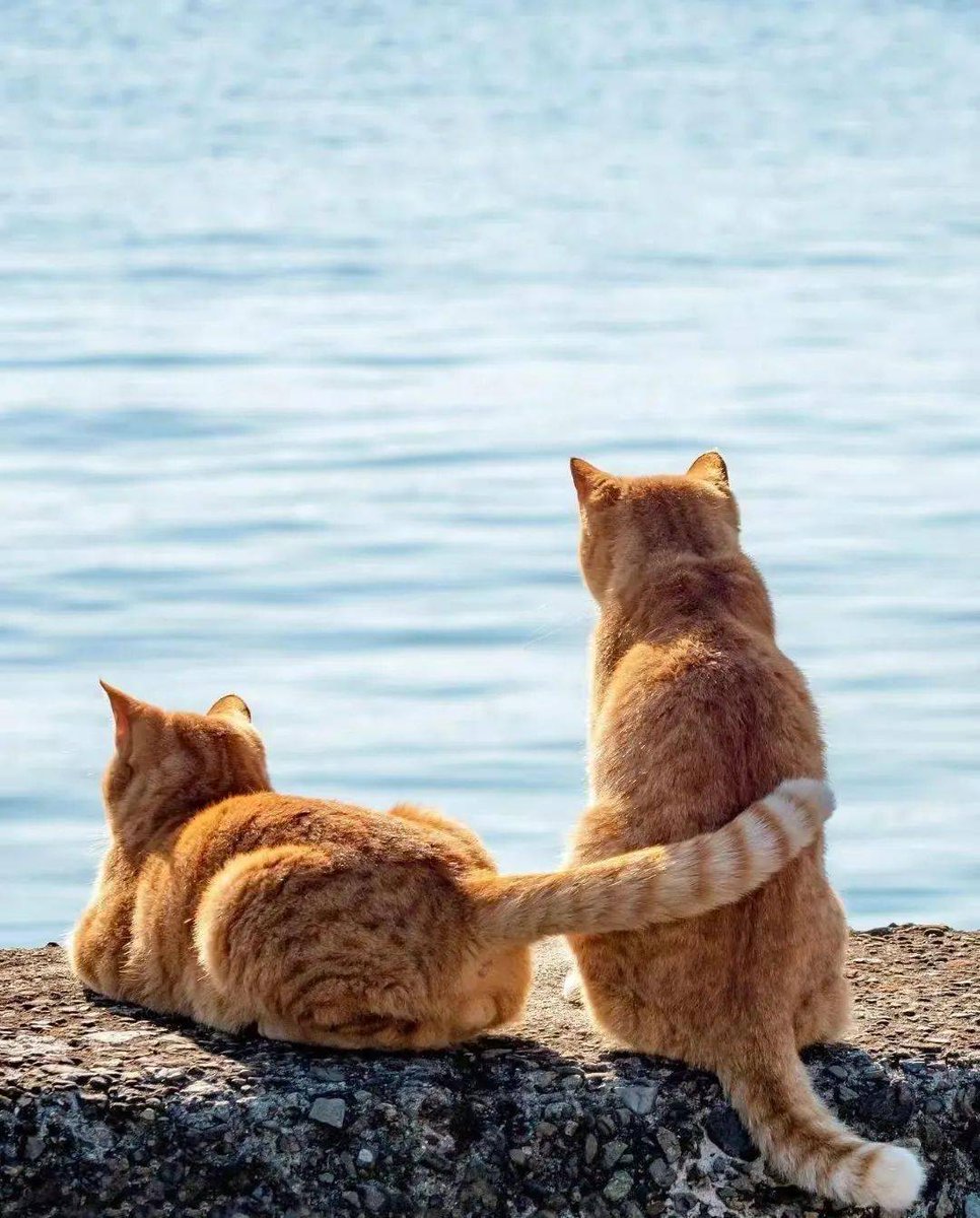 Nicola Haughie tweet media