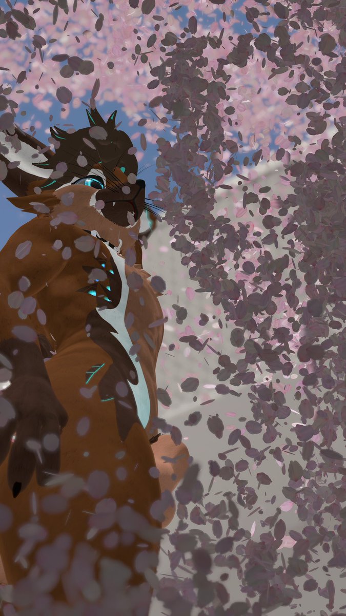 Cazz's bits n pieces🔞 tweet media