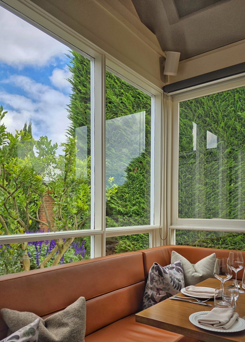 Milad.T 🇦🇺 🇮🇷 tweet media