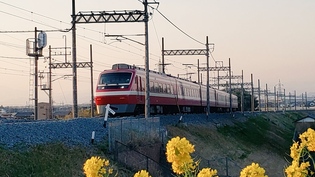 もこ 📡7N3AKY🎺 tweet media