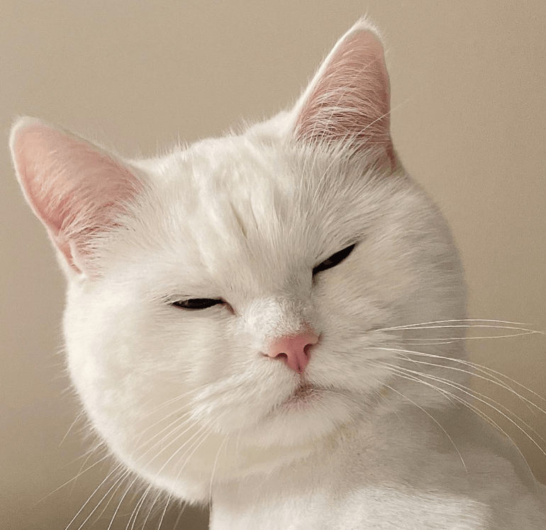 محسودين ..!! tweet media