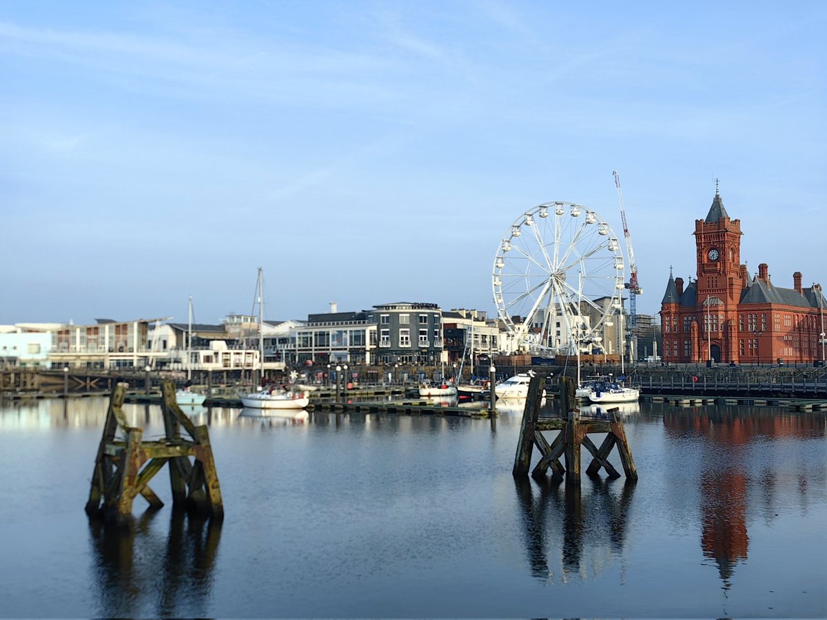 Nadezna Mandhari tweet media