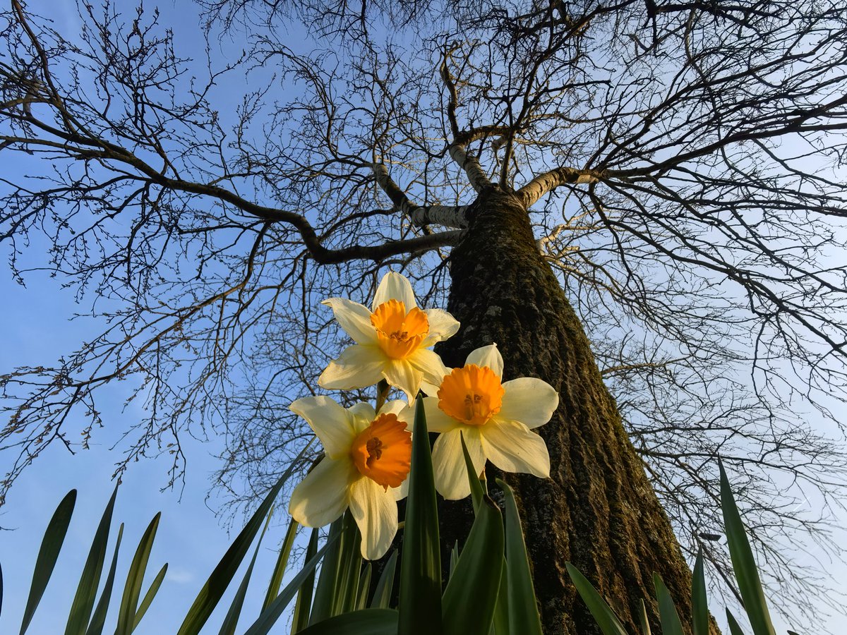 Nadezna Mandhari tweet media