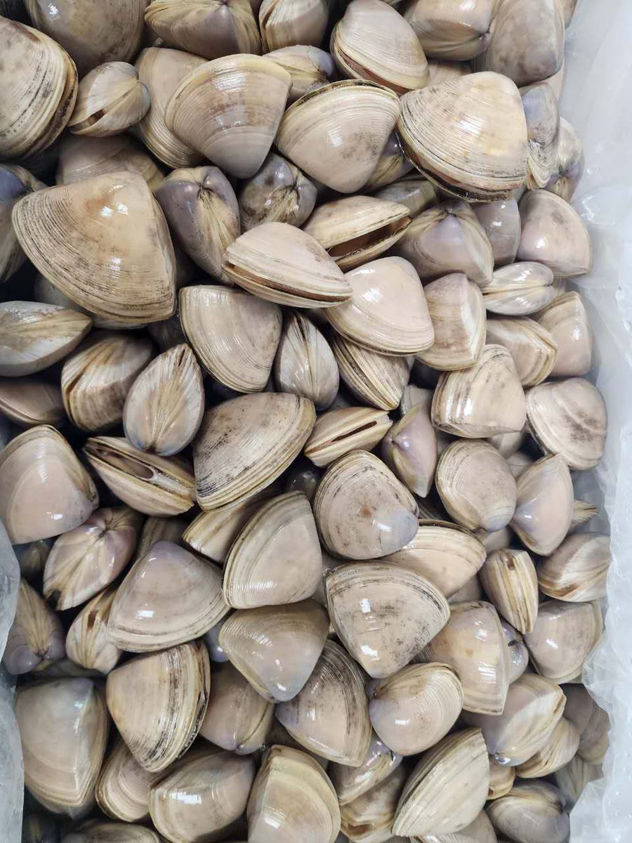 可心安处是吾乡 tweet media