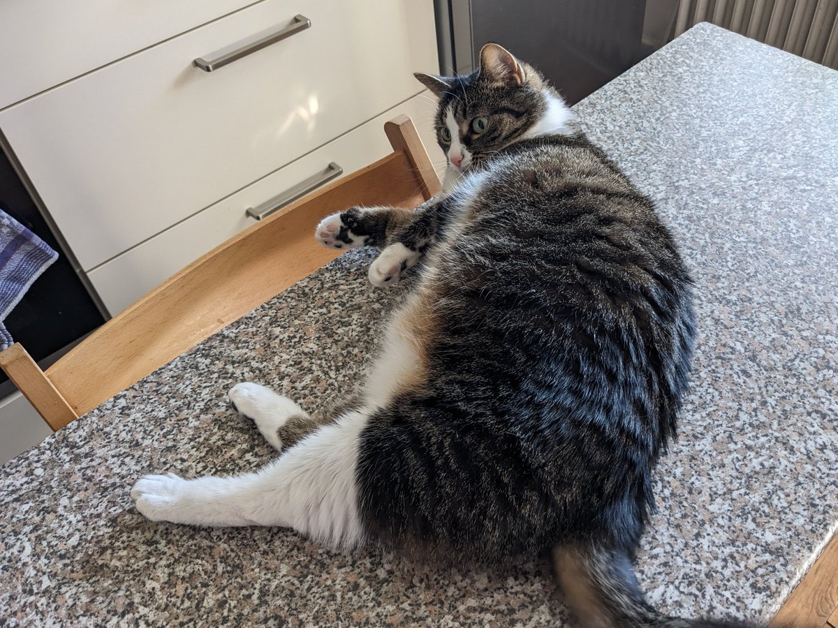 リラ 💜 PurplePastaPrincess tweet media