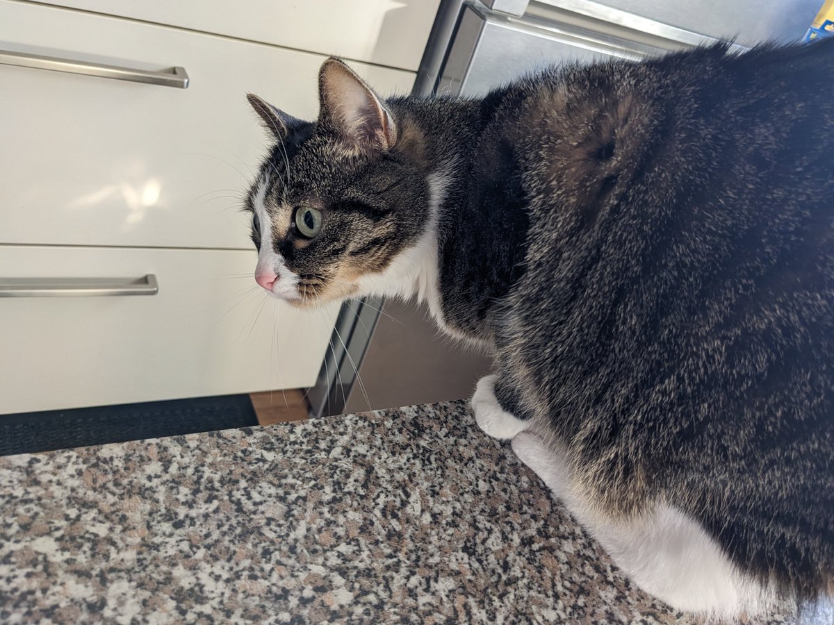 リラ 💜 PurplePastaPrincess tweet media