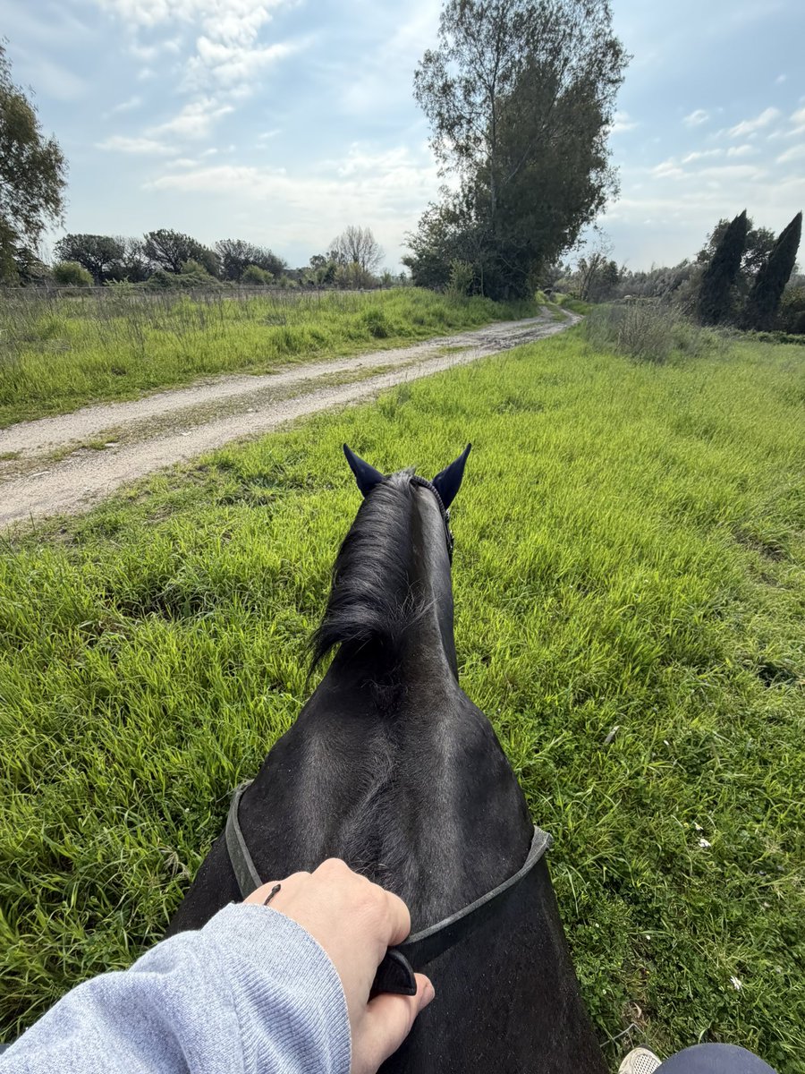 simona🍷 ✨ tweet media