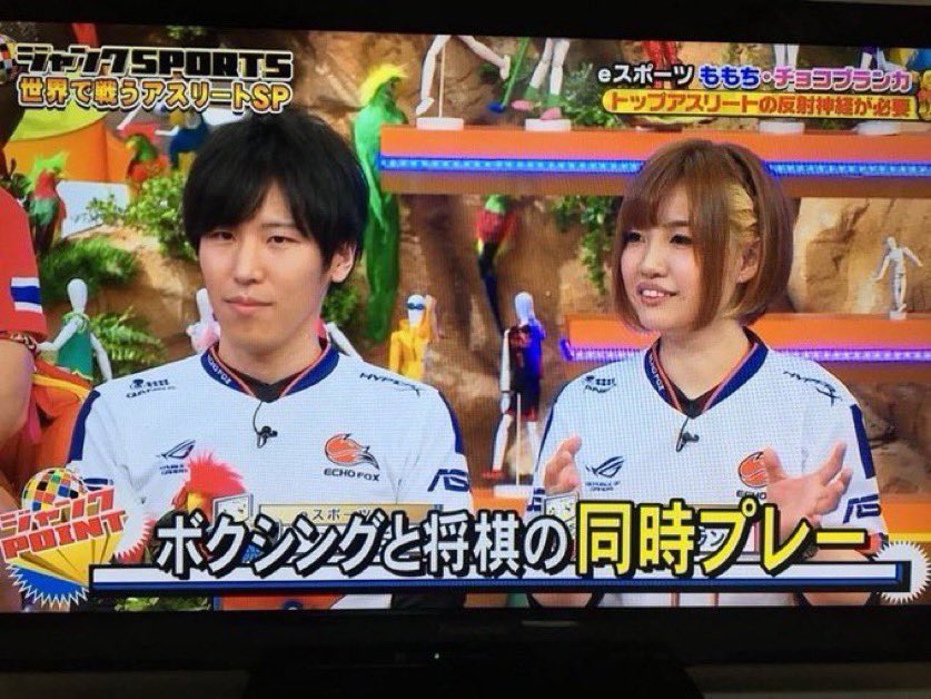 ずっと見ていたい動画 tweet media