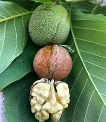 ∴ANARCHOSA∴ tweet media