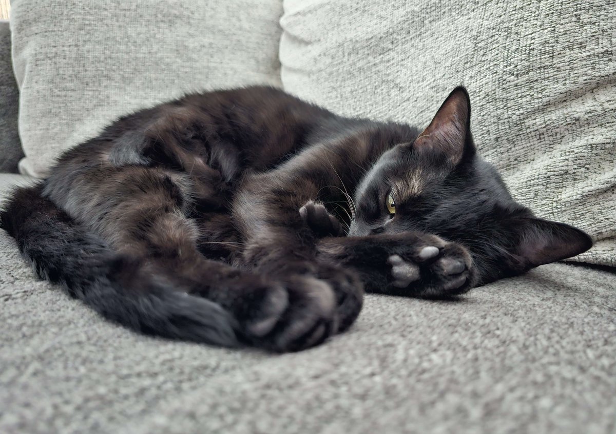 Sιɳ 🩸💎 (REDEBUT SOON) tweet media