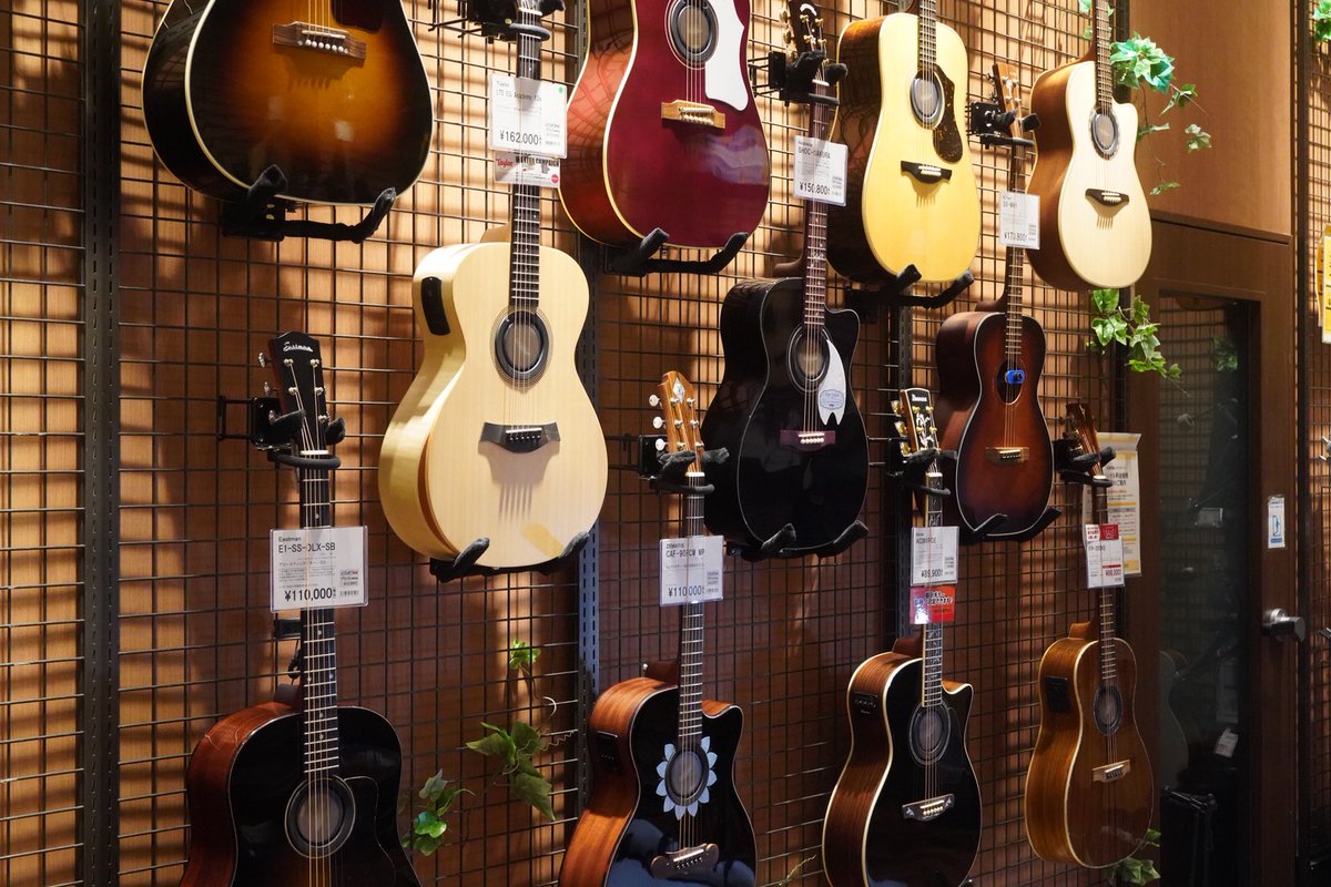島村楽器 有明ガーデン店 tweet media