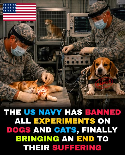 yolanda schultes tweet media