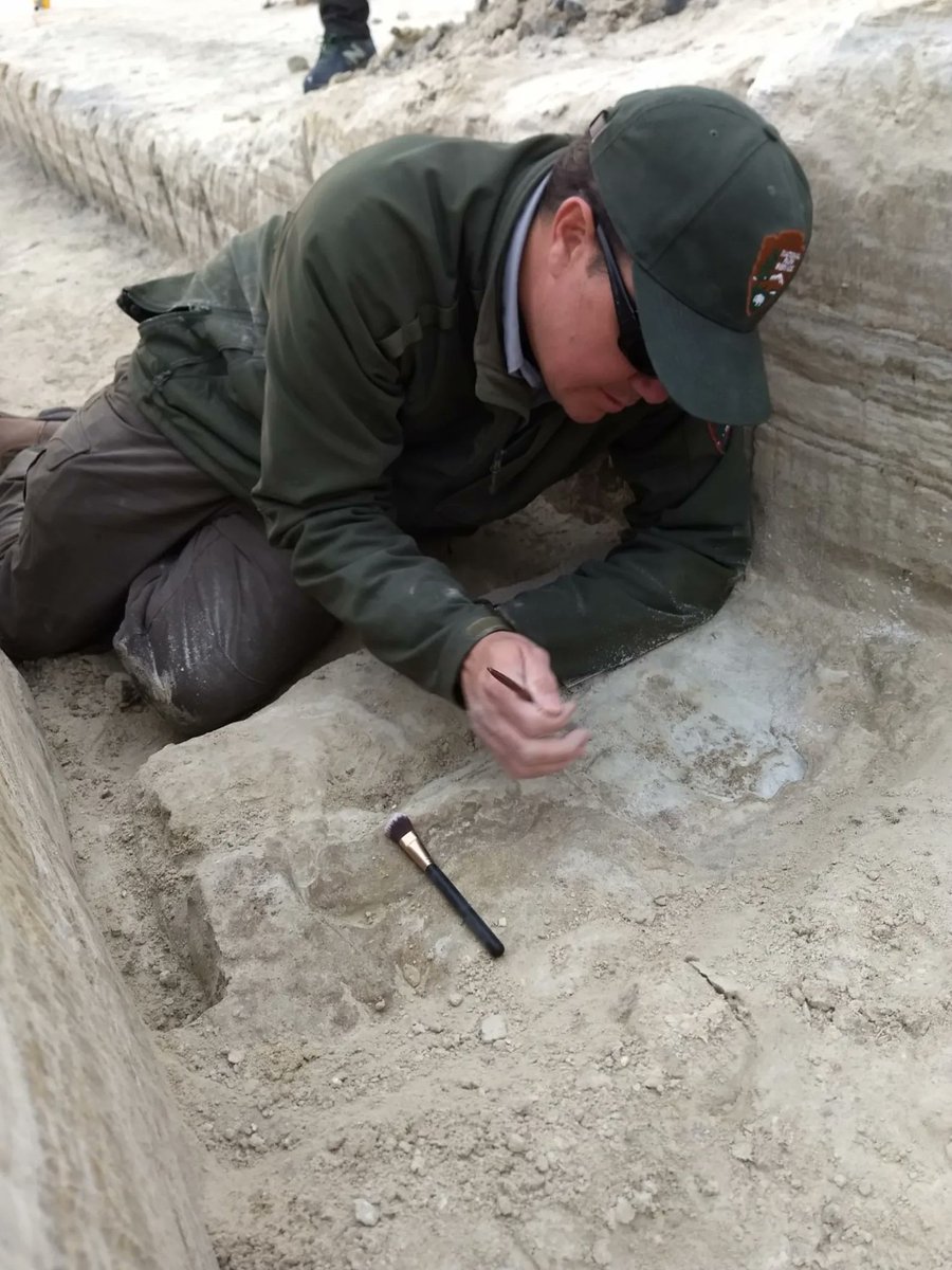 Paul Barford tweet media