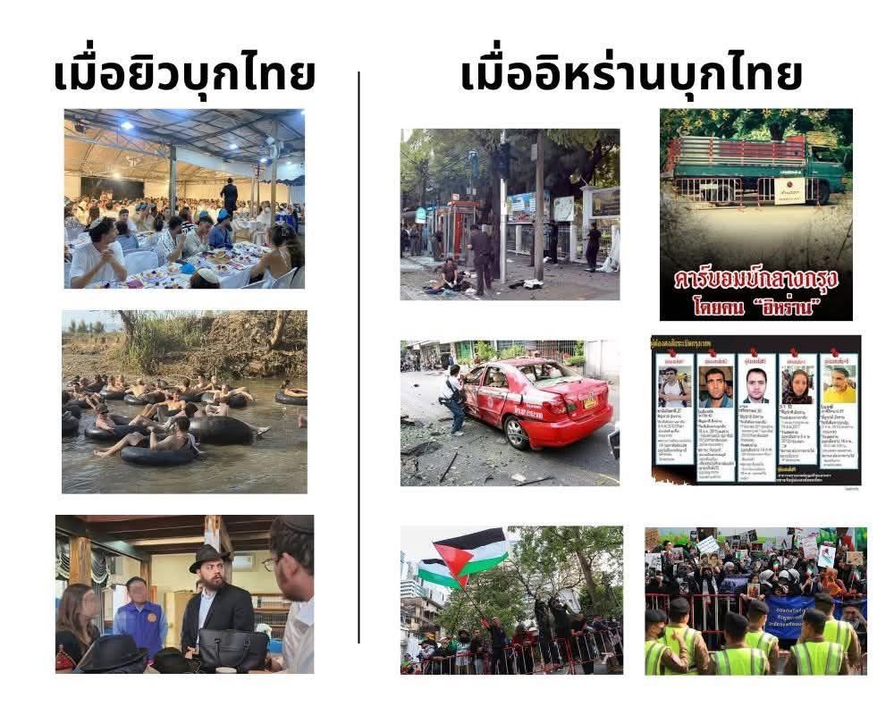 Mansohui tweet media