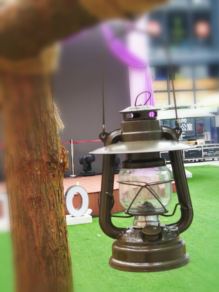 roberta hingrid tweet media