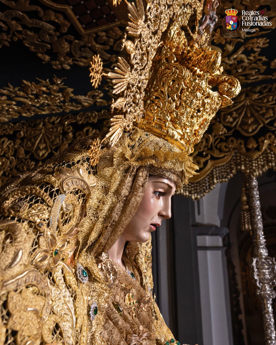 Reales Cofradías Fusionadas tweet media