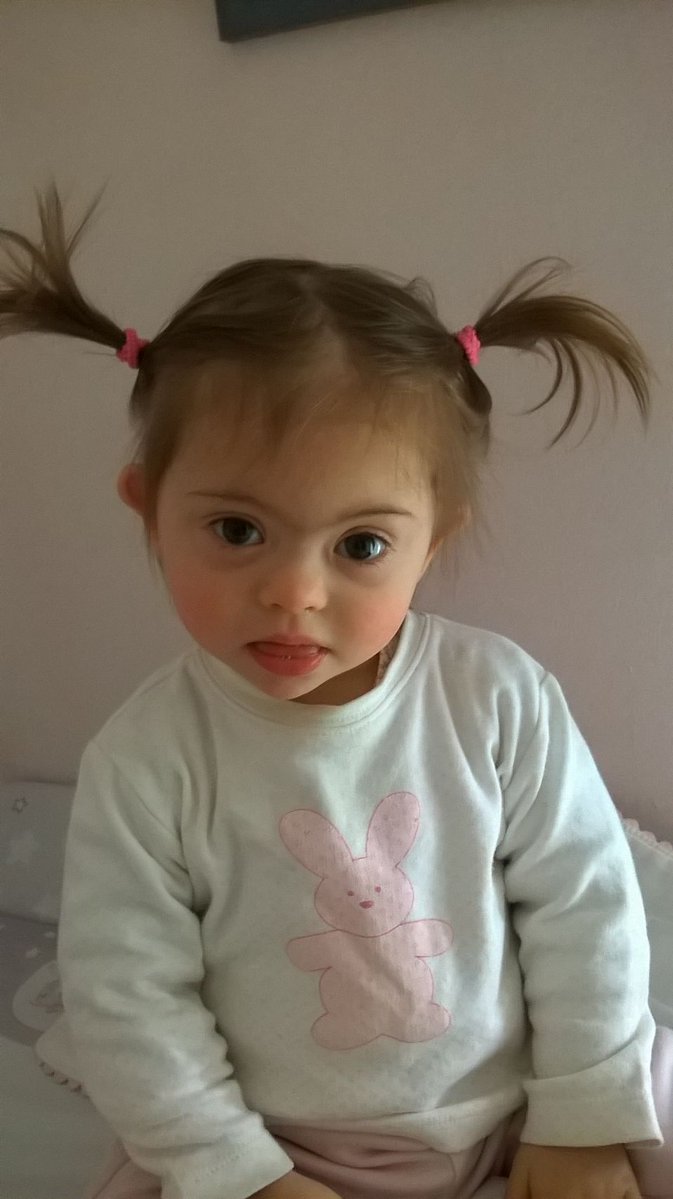 Jesús Ybarra Montaño tweet media