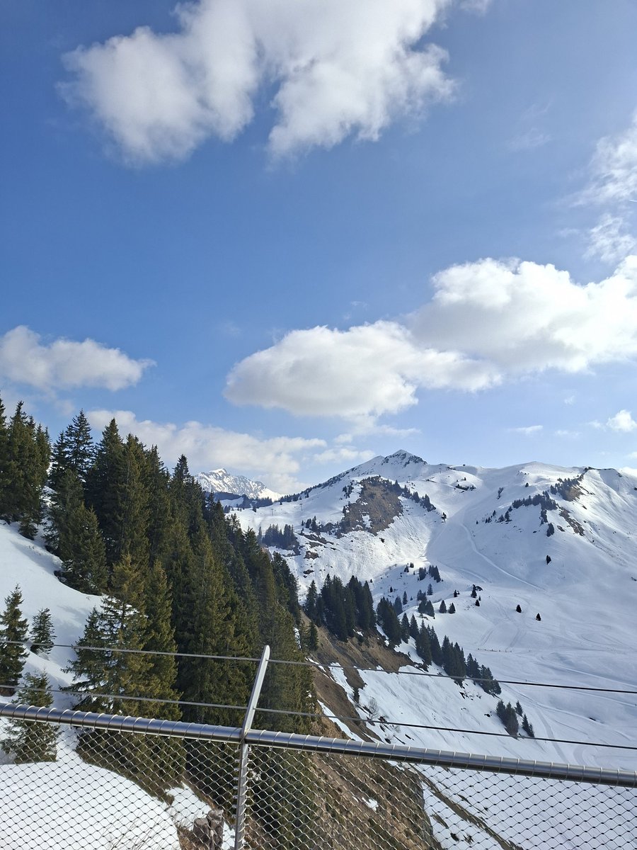 Tchourmo#74970🔞 tweet media