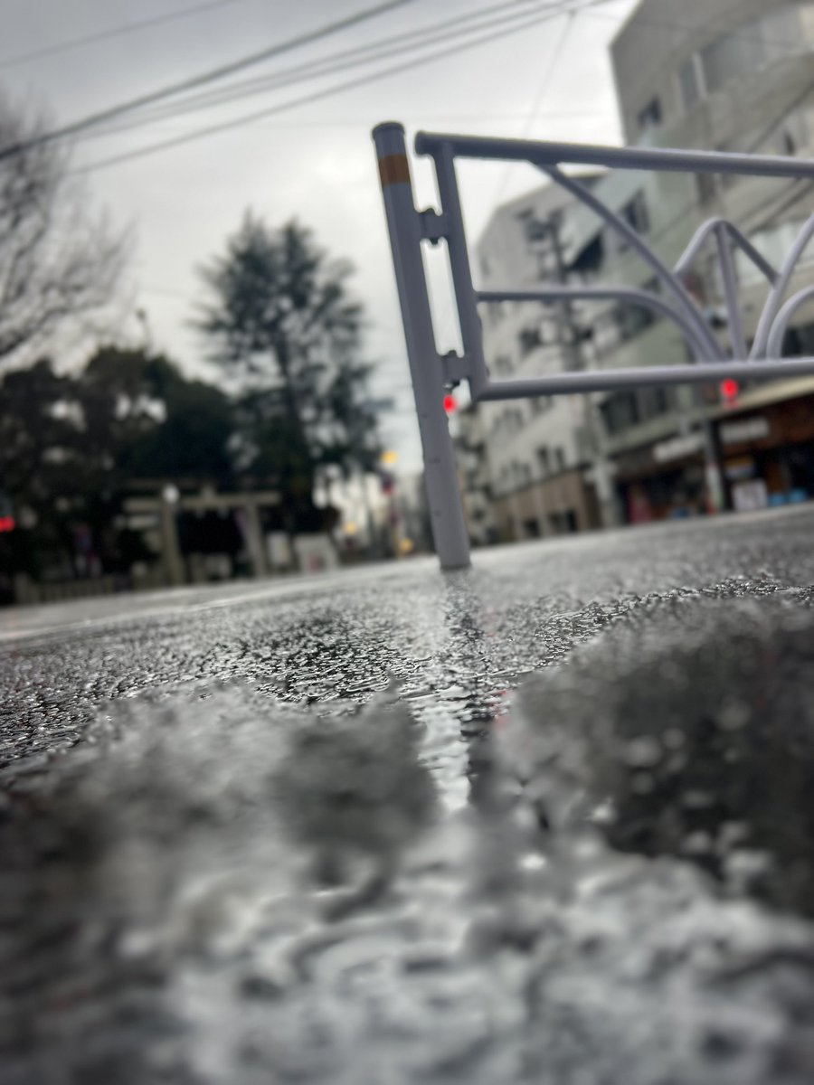 ひなお(HINAO) tweet media