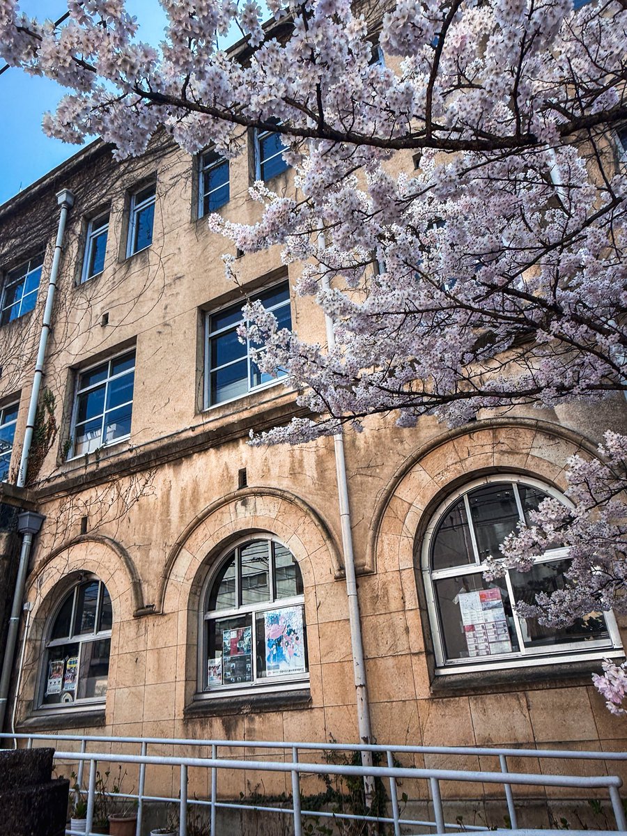 rnova123's tweet photo. 今日の美しく咲いた桜、はるめき桜🌸
聖徳中学校で見つけました。京都ではもう咲き始めています☺️

#京都 #桜 #日本 #KyotoSpring #CherryBlossom https://t.co/z0CclqMd94