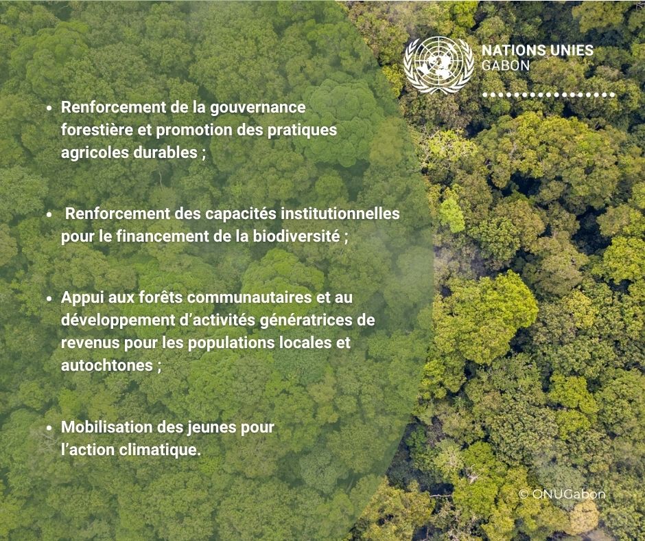 ONU Gabon tweet media