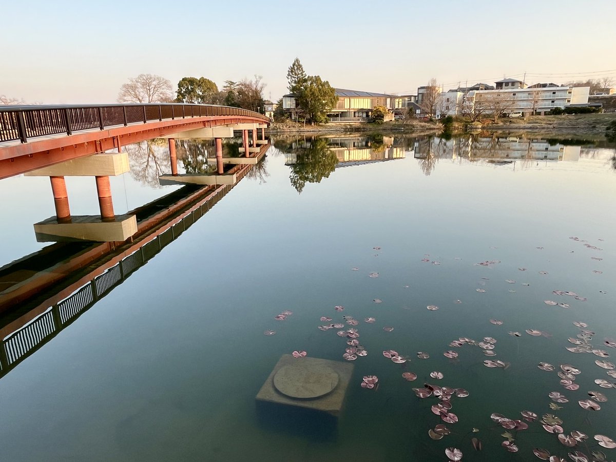 mikko(369days)🎠4/3『あのころの遊園地マップ図鑑』発売! tweet media