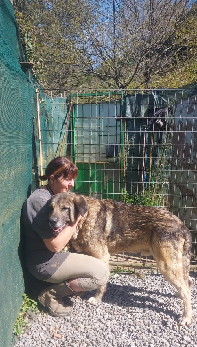 Ascaan difusión-Santurtzi tweet media