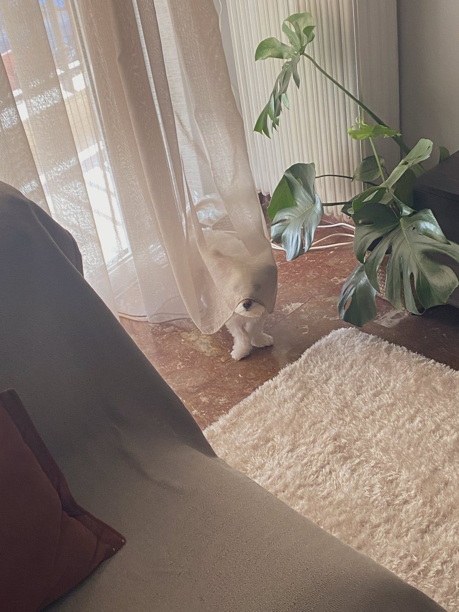 𝔼𝕣𝕚𝕜 ☘︎ 𝕄𝕡𝕣𝕠𝕤𝕥𝕚𝕟𝕠𝕤 ℙ𝕒𝕡𝕒𝕥𝕫𝕠𝕟 tweet media