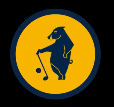 ProjectRSL tweet media