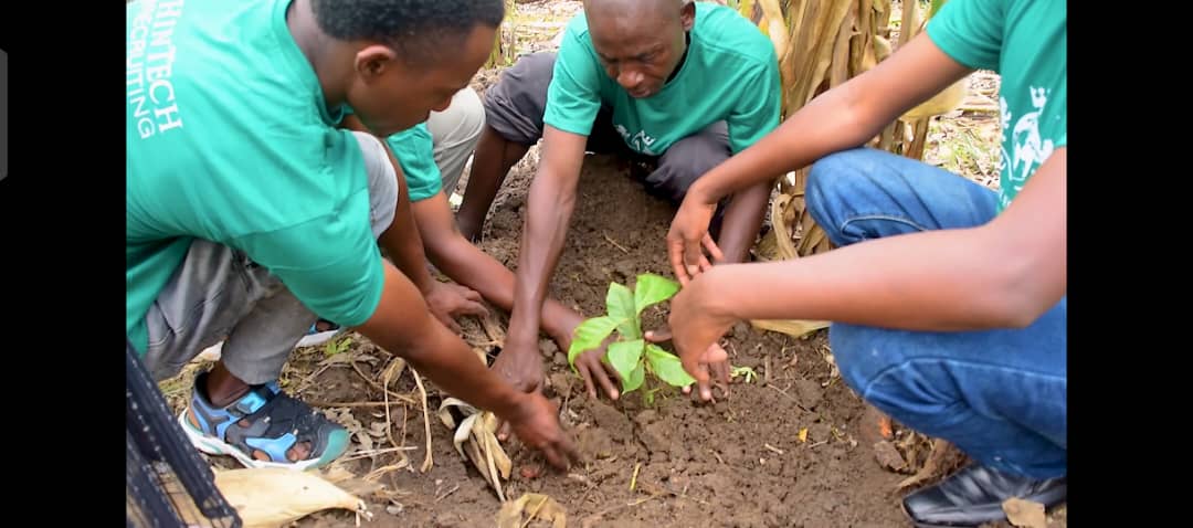 KAL CONSORTIUM AFRICA tweet media