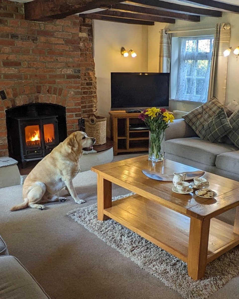 Short Stay Homes tweet media