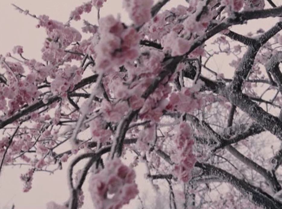 Wrong will be right, when Aslan comes in sight,
At the sound of his roar, sorrows will be no more,
When he bares his teeth, winter meets its death,
And when he shakes his mane, we shall have spring again.