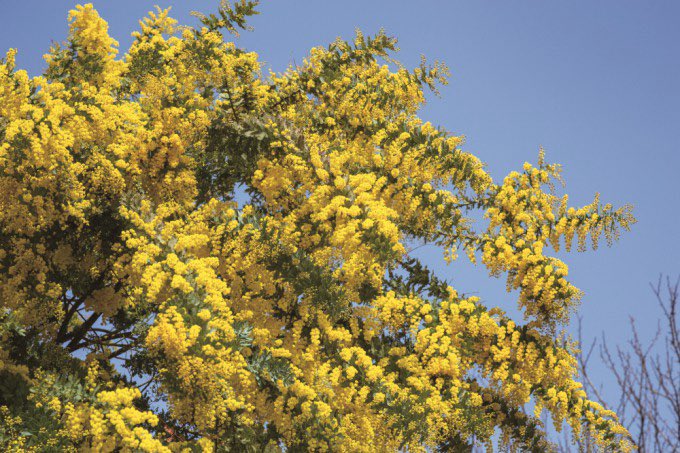 앵무조개(원배틀애프터어나더좋음이) tweet media